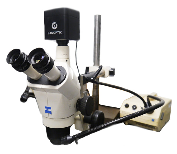 Zeiss Stereo inspection Microscope