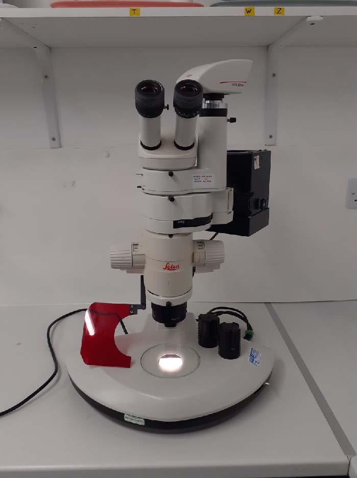 Leica MZFLIII Stereo Microscope