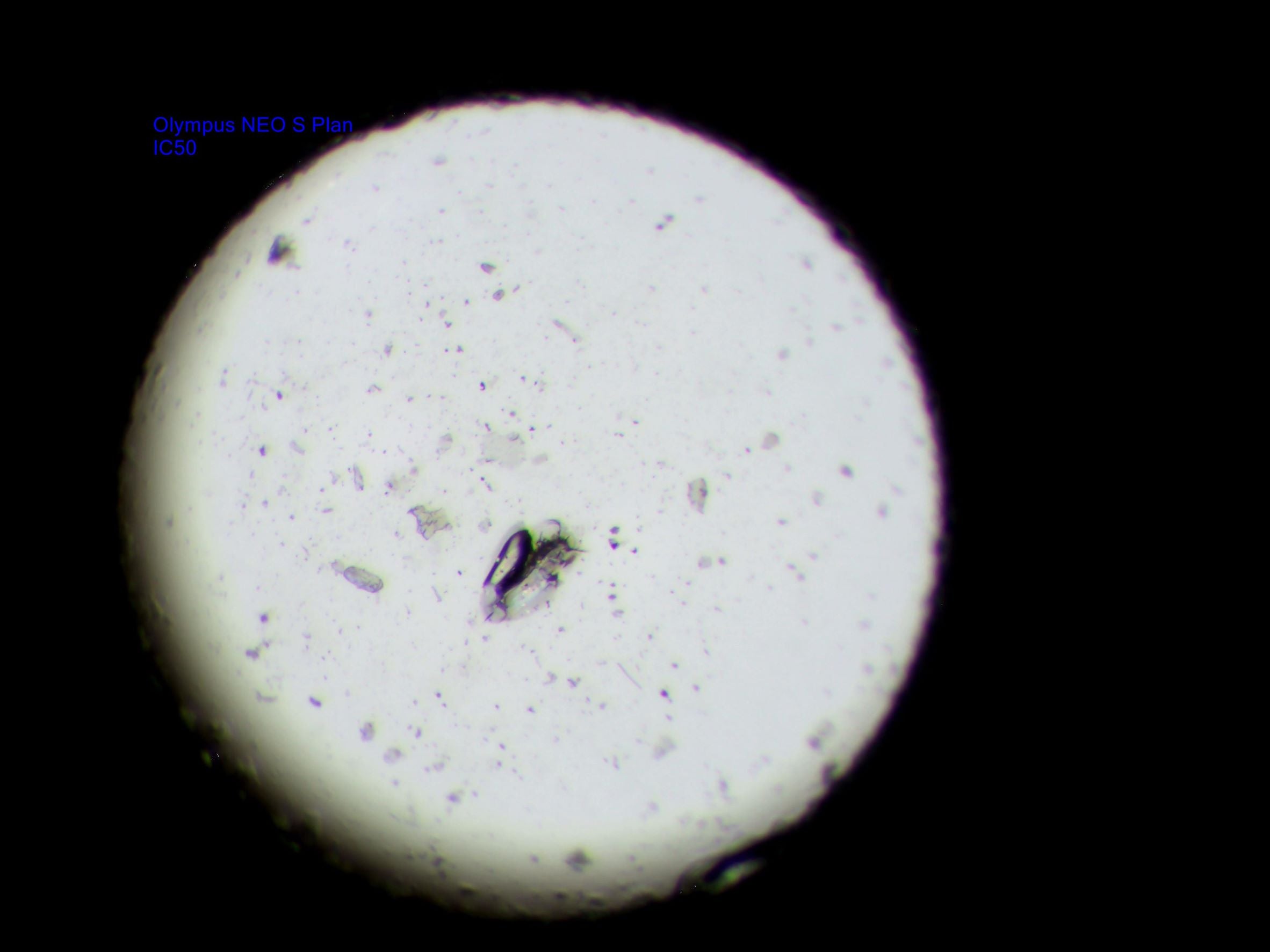 IMAGING/CAMERA – Page 3 – Spectrographic Ltd
