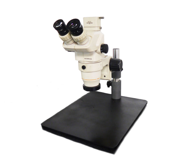 Olympus Stereo Microscope