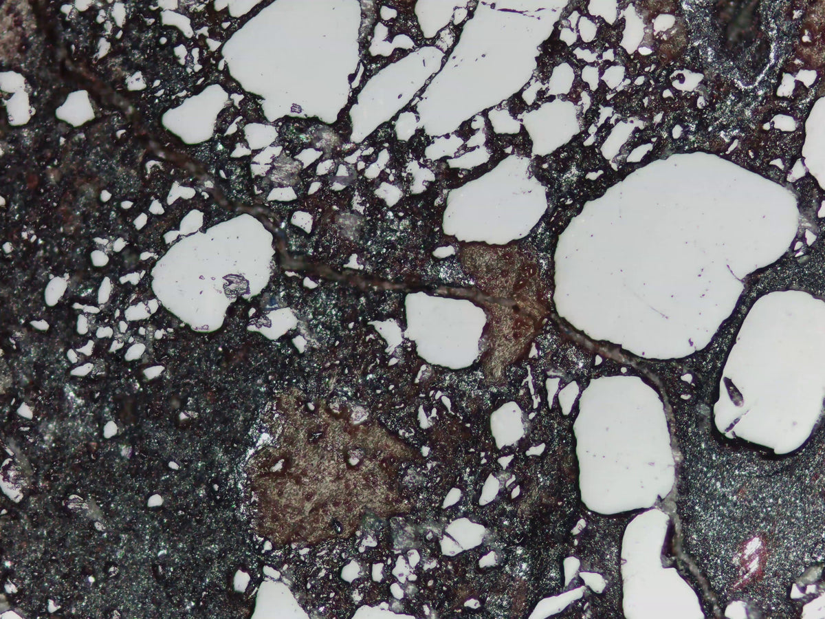 HD1210 Series Innovative Microscope Camera - THE CAMERA TO BEAT